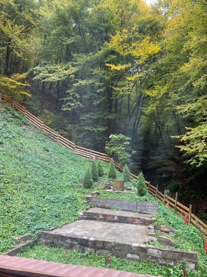 Casuta Din Padure Panzió Vajdahunyad Kültér fotó