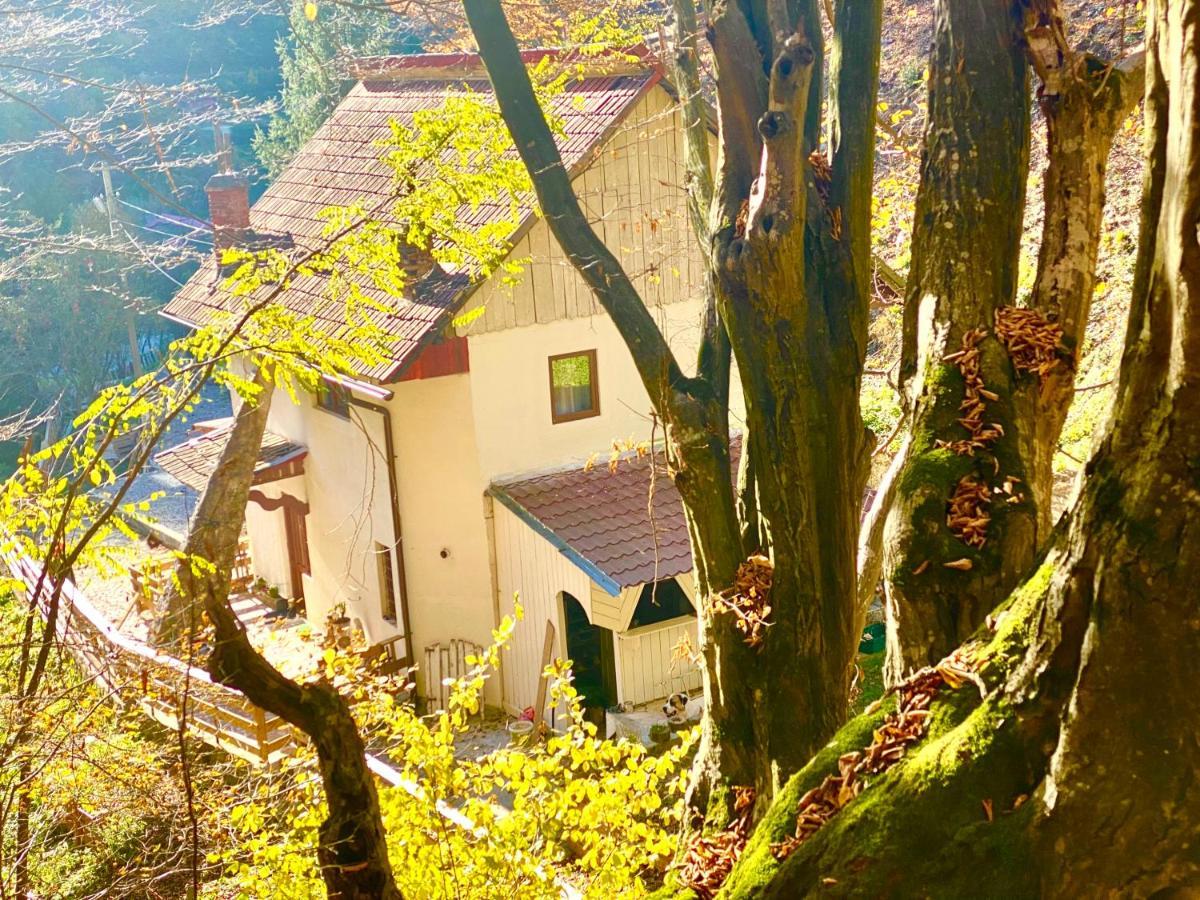 Casuta Din Padure Panzió Vajdahunyad Kültér fotó