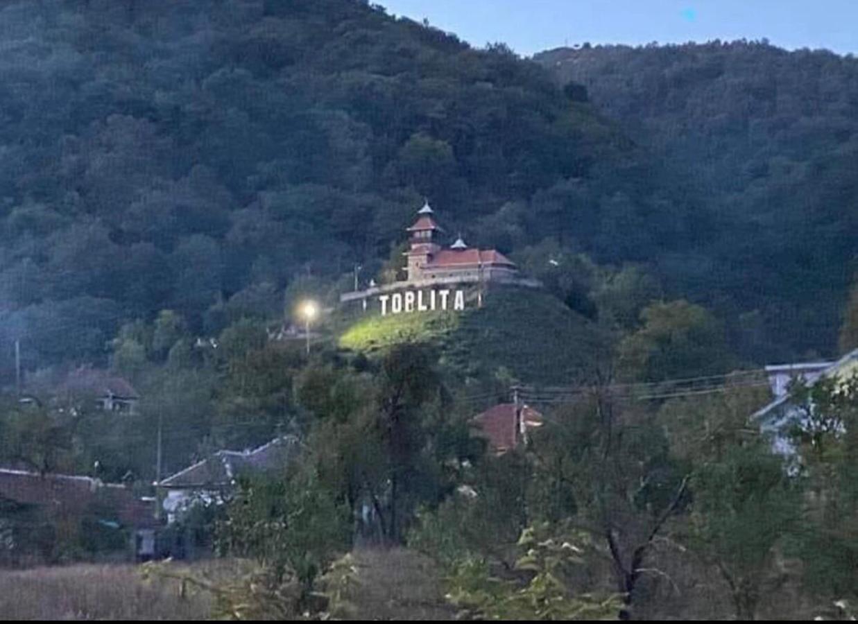 Casuta Din Padure Panzió Vajdahunyad Kültér fotó