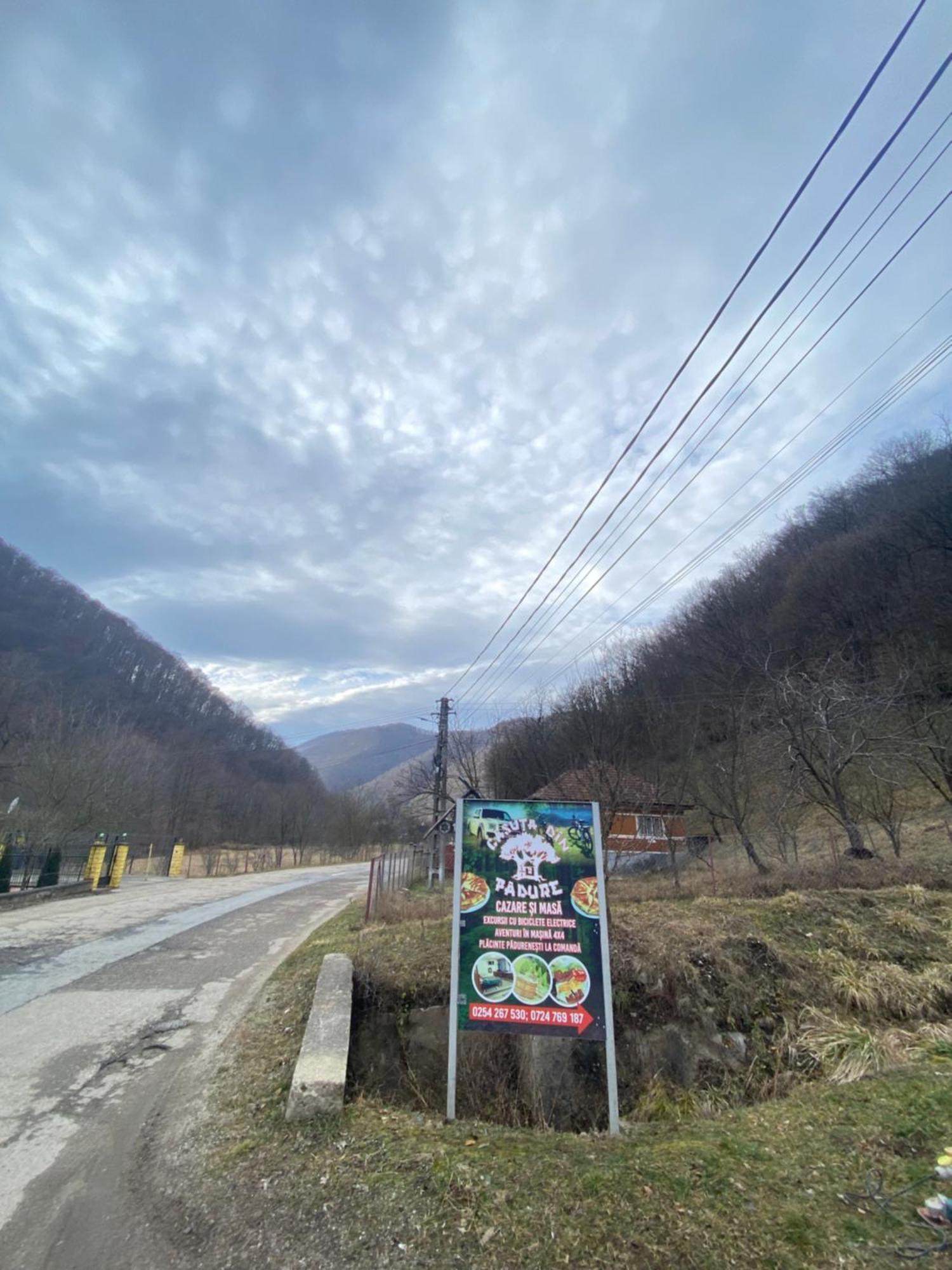 Casuta Din Padure Panzió Vajdahunyad Kültér fotó