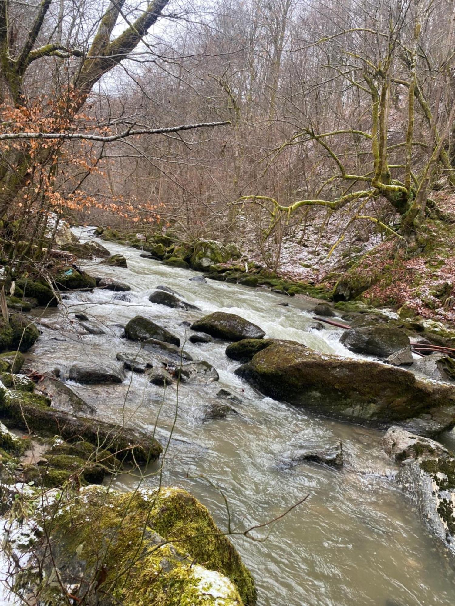 Casuta Din Padure Panzió Vajdahunyad Kültér fotó