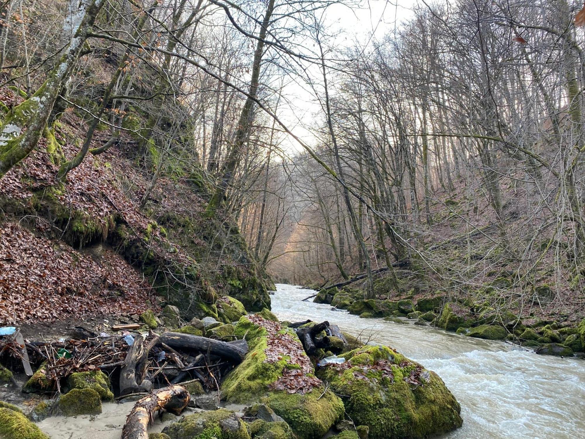 Casuta Din Padure Panzió Vajdahunyad Kültér fotó