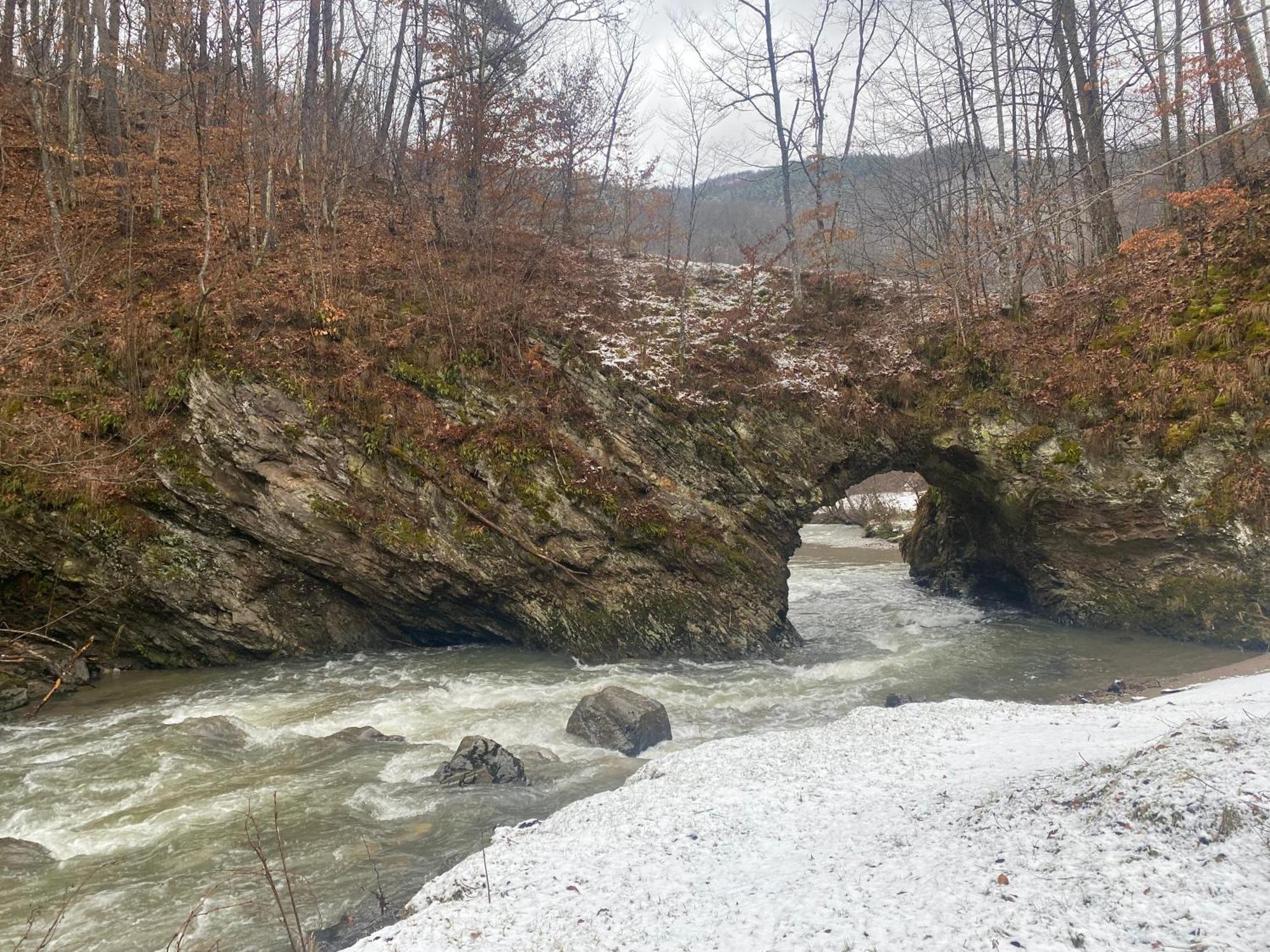 Casuta Din Padure Panzió Vajdahunyad Kültér fotó