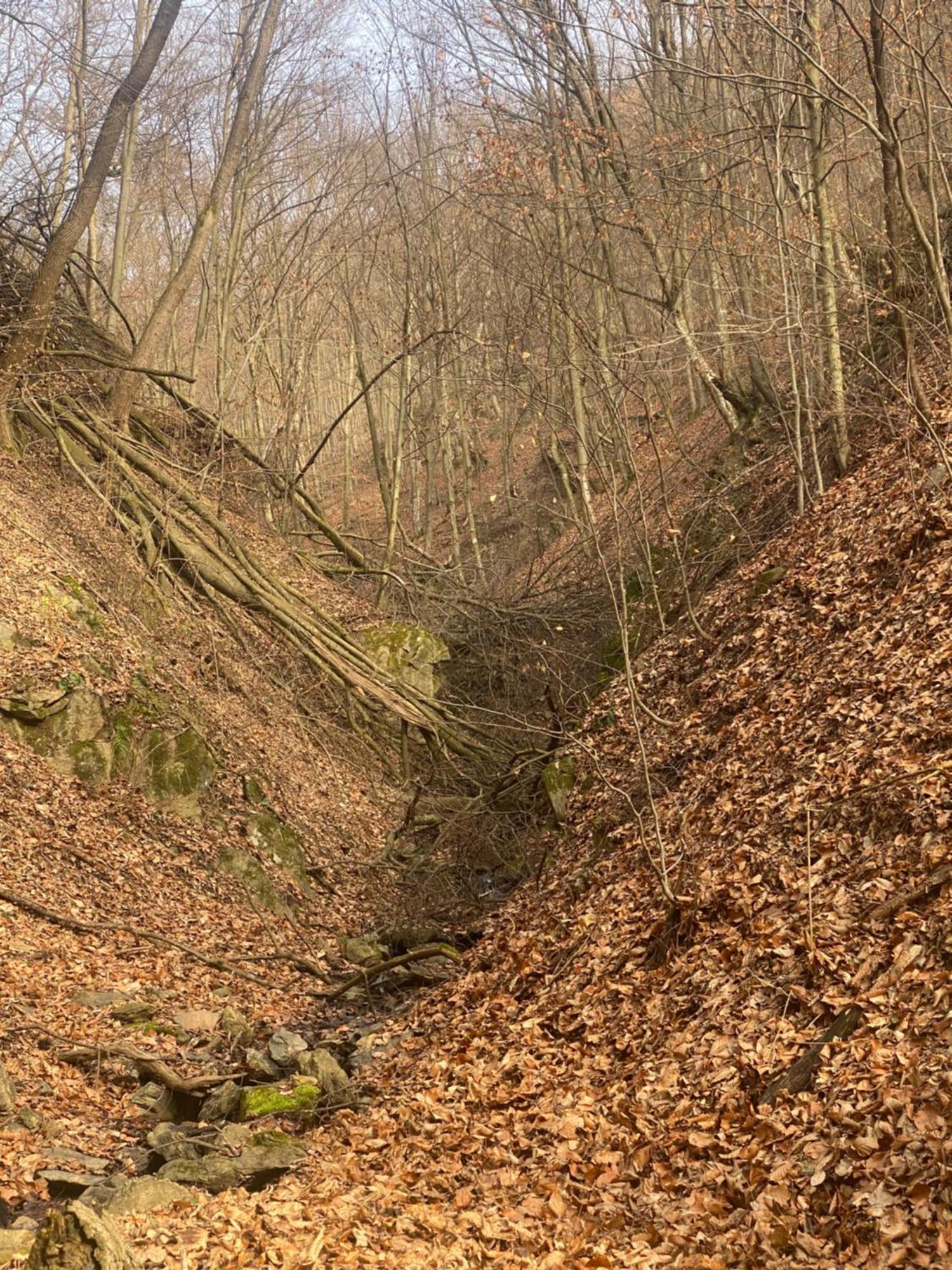 Casuta Din Padure Panzió Vajdahunyad Kültér fotó