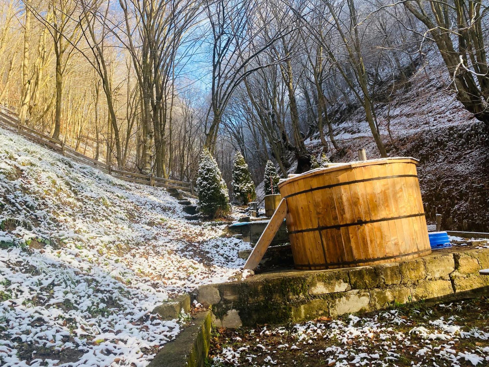 Casuta Din Padure Panzió Vajdahunyad Kültér fotó